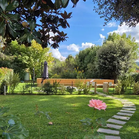Ferienhaus Lovely In With Wifi Camaiore